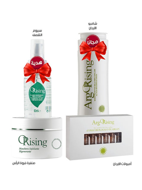 Damaged Hair Repair Set